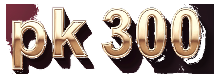 pk 300 logo